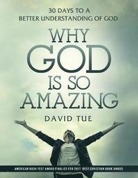 bokomslag Why God Is So Amazing