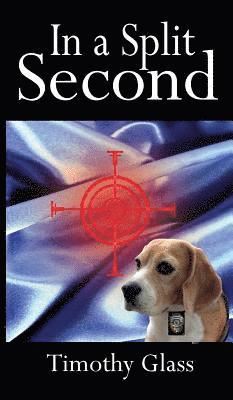 Timothy Glass - In a Split Second, Inbunden