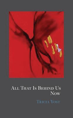 Tricia Yost - All That Is Behind Us Now, Häftad