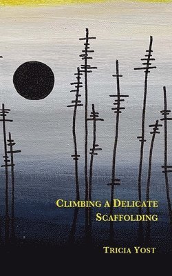 Climbing a Delicate Scaffolding 1