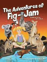 The Adventures of FIG-JAM 1