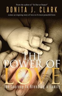bokomslag The Power of Love: The journey to blending a family