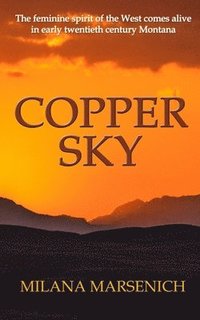 bokomslag Copper Sky