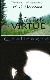 bokomslag The Tenth Virtue