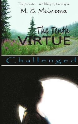 M. C. Meinema, M C Meinema - The Tenth Virtue: Challenged, Häftad