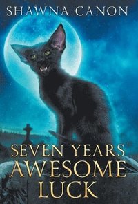 bokomslag Seven Years Awesome Luck