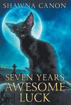 bokomslag Seven Years Awesome Luck