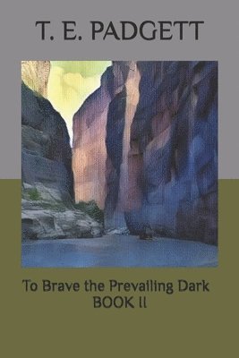 bokomslag To Brave the Prevailing Dark