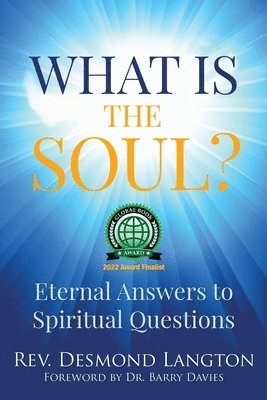 bokomslag What Is the Soul?