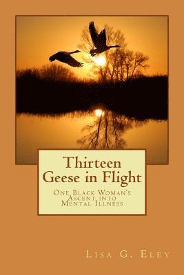 bokomslag Thirteen Geese in Flight: One Black Woman's Ascent into Mental Illness