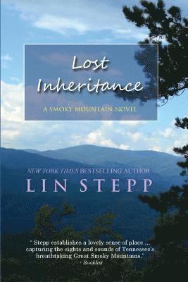 bokomslag Lost Inheritance