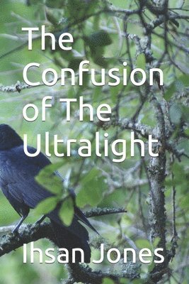 The Confusion of The Ultralight 1