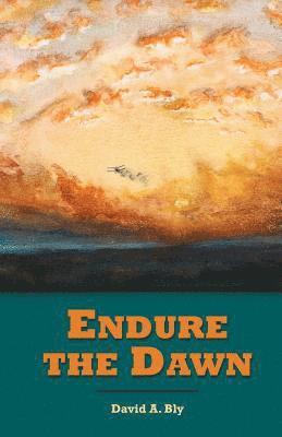 Endure the Dawn 1