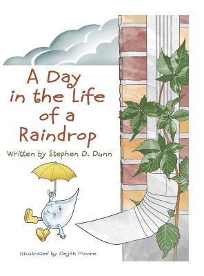 A Day In The Life Of A Raindrop 1