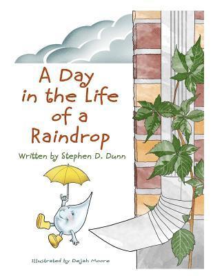 A Day In The Life Of A Raindrop 1