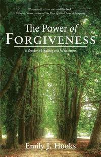 bokomslag Power of Forgiveness