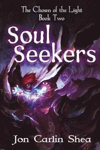 bokomslag Soul Seekers