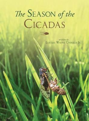 The Season of the Cicadas 1