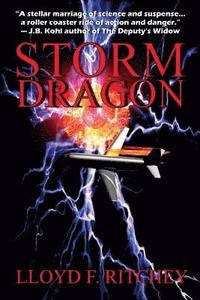 bokomslag Stormdragon