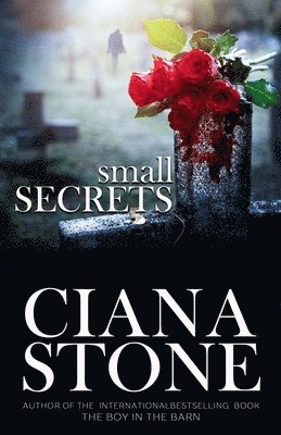 Ciana Stone - Small Secrets, Häftad