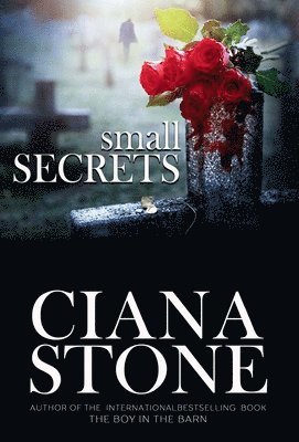 Ciana Stone - Small Secrets, Inbunden