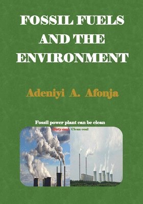 bokomslag Fossil Fuels and the Environment