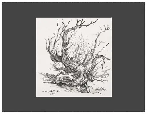 Frederick Ramey - Charles Parson Drawing, Inbunden. Tillgänglighet: Tillfälligt slut