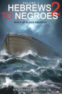 bokomslag Hebrews to Negroes 2; Volume 3