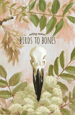 Aisling Rowan - Birds to Bones, Häftad