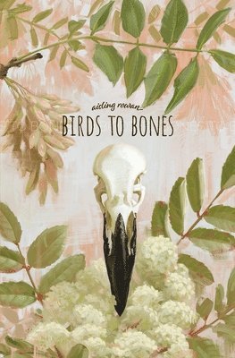 Birds to Bones 1