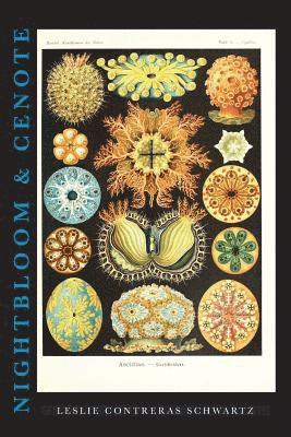 Leslie Contreras Schwartz - Nightbloom & Cenote, Häftad