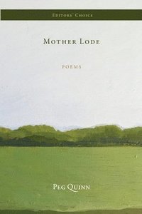 bokomslag Mother Lode