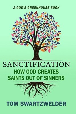bokomslag Sanctification: How God Creates Saints out of Sinners