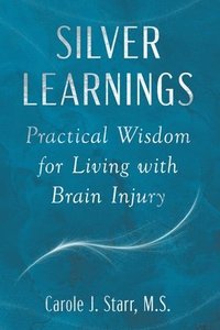 bokomslag Silver Learnings