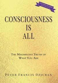 bokomslag Consciousness Is All