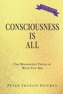 bokomslag Consciousness Is All