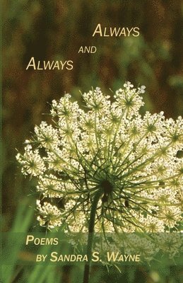 bokomslag Always and Always