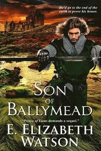 bokomslag Son of Ballymead