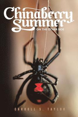 Chinaberry Summer: On the Other Side