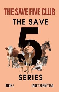bokomslag The Save Five Club