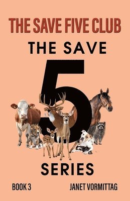 bokomslag Save Five Club