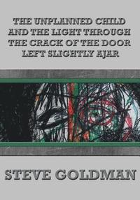 bokomslag The Unplanned Child & the Light Through the Crack of the Door Left Slightly Ajar