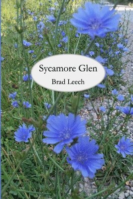 Brad Leech - Sycamore Glen, Häftad