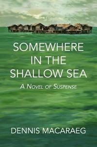 bokomslag Somewhere in the Shallow Sea: A Novel of Suspense