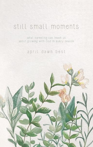 April Dawn Best, Joshua D Best - Still Small Moments, Häftad