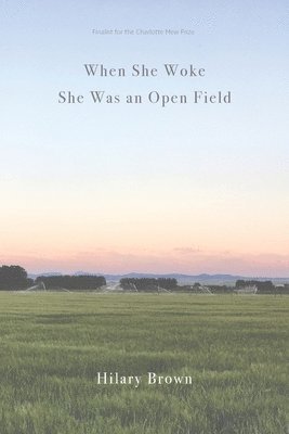 Hilary Brown - When She Woke She Was an Open Field, Häftad
