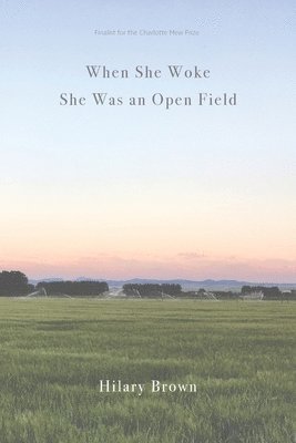 bokomslag When She Woke She Was an Open Field