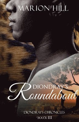 Diondray's Roundabout 1