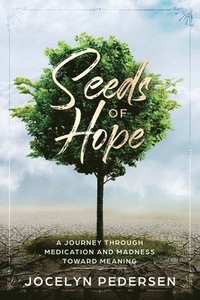 bokomslag Seeds OF Hope: A Journey Through Medication and Madness Toward Meaning