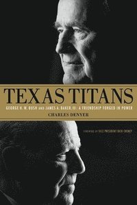 bokomslag Texas Titans